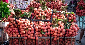 8 lợi ích bất ngờ của quả vải 8 lợi ích bất ngờ của quả vải