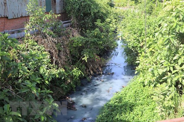 Người dân ở thành phố Quảng Ngãi kêu cứu vì nước thải không được xử lý.
