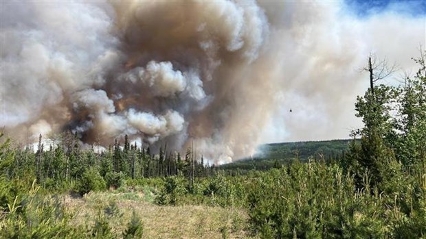 Khói từ các vụ cháy rừng ở Canada góp ô nhiễm không khí ở Hoa Kỳ