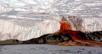 Sau 112 năm, câu trả lời bí ẩn về thác nước màu đỏ máu ở Nam Cực đã được giải đáp hoàn toàn.
