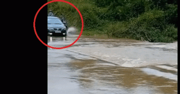 Video: Phi ô tô xuống đường ngập nước bị chỉ trích không ngớt