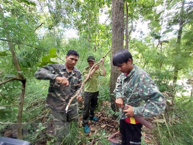 Đắk Lắk: Phát huy vai trò cộng đồng trong bảo vệ động vật hoang dã