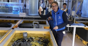 Hàn Quốc: Xả nước thải Fukushima tác động "không đáng kể" đến môi trường