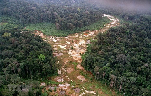 Hội nghị cấp cao tại Colombia hướng tới chiến lược bảo vệ rừng Amazon