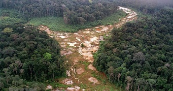 Hội nghị cấp cao tại Colombia hướng tới chiến lược bảo vệ rừng Amazon