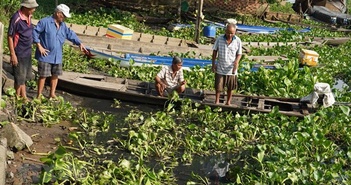 Sau phản ánh của TTXVN, hai doanh nghiệp xả thải trái phép đã bị xử phạt. Sau phản ánh của TTXVN, hai doanh nghiệp xả thải trái phép đã bị xử phạt.