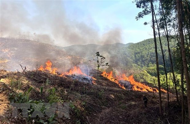 Hàng trăm người đã nỗ lực ngăn chặn đám cháy rừng vào đêm khuya ở Nghệ An.