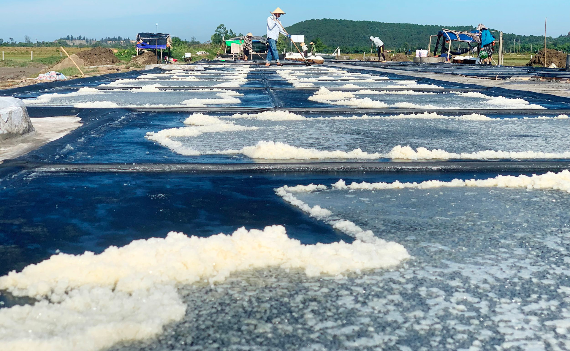 Diêm dân phấn khởi vì ruộng muối trải bạt cho hiệu quả kinh tế cao