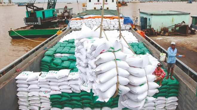 Nhu cầu nhập khẩu gạo thế giới tăng cao, Việt Nam không đủ đáp ứng