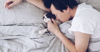 9 kiểu gối thiết kế đặc biệt, chất liệu êm ái để nâng cấp giấc ngủ, xua tan mệt mỏi cả ngày dài 9 kiểu gối thiết kế đặc biệt, chất liệu êm ái để nâng cấp giấc ngủ, xua tan mệt mỏi cả ngày dài