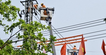Sắc cam trong nắng Sắc cam trong nắng