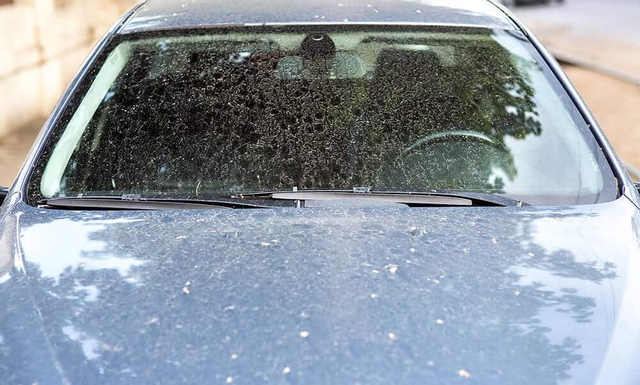 4 thói quen khi sử dụng ô tô mùa mưa làm hư hại lớp sơn xe - Ảnh 2.