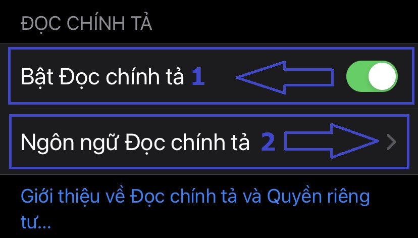 Bật Đọc chính tả trên iPhone