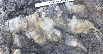 Đi dạo ven biển để nhặt vỏ ốc, tình cờ phát hiện dấu chân khủng long từ 160 triệu năm trước