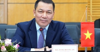 Điều động, bổ nhiệm Thứ trưởng Bộ Công Thương Đặng Hoàng An làm Chủ tịch HĐTV EVN Điều động, bổ nhiệm Thứ trưởng Bộ Công Thương Đặng Hoàng An làm Chủ tịch HĐTV EVN