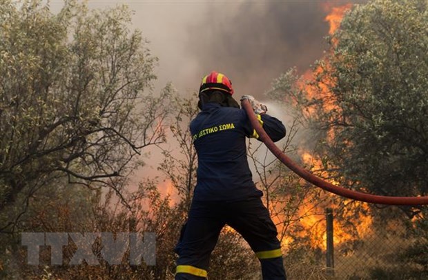Hy Lạp nỗ lực khống chế các vụ cháy rừng nghiêm trọng hoành hành