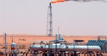 UAE nâng mục tiêu hạn chế khí thải trước thềm Hội nghị COP28