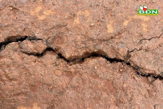 Đắk Nông: Sớm xác định nguyên nhân nứt gãy, sạt lở đất tại Tuy Đức