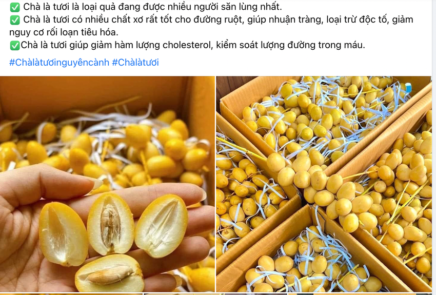 Gần 300 ngàn đồng/kg chà là tươi có tác dụng gì?