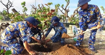 Phát triển Trường Sa xanh, ngày càng đẹp về cảnh quan môi trường Phát triển Trường Sa xanh, ngày càng đẹp về cảnh quan môi trường
