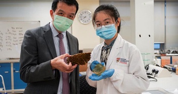 Singapore: Biến đổi vỏ sầu riêng thành băng keo cá nhân kháng khuẩn