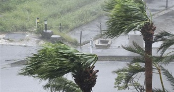 Bão Khanun gây mưa lớn tại Nhật Bản, Hàn Quốc hủy hàng trăm chuyến bay