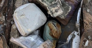 Đào đất trồng cây, đôi vợ chồng trẻ bất ngờ thấy kho báu toàn vàng, kim cương Đào đất trồng cây, đôi vợ chồng trẻ bất ngờ thấy kho báu toàn vàng, kim cương