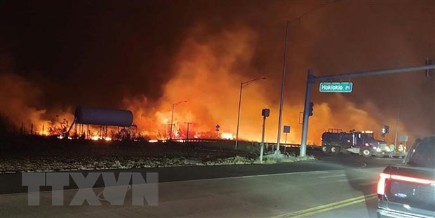 Mỹ: Số người thiệt mạng do cháy rừng ở Hawaii tăng lên 53