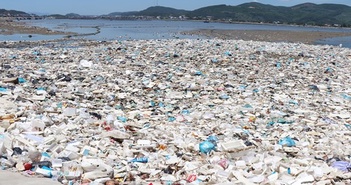 Việt Nam nỗ lực tham gia đàm phán Thỏa thuận Toàn cầu về Ô nhiễm Nhựa