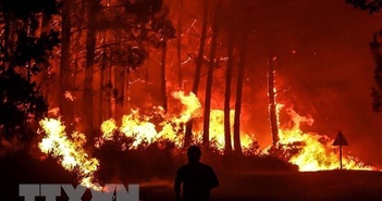 Bang California sử dụng trí tuệ nhân tạo để phát hiện cháy rừng