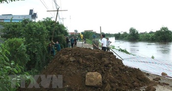 Thanh Hóa khẩn trương khắc phục sự cố sụt lún mái đê tả sông Càn