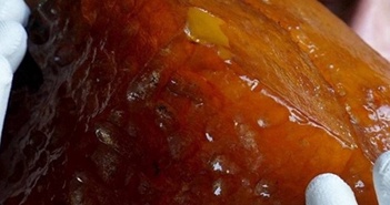 Đào giếng đụng trúng kho báu, cả nhà đổi đời sau một đêm Đào giếng đụng trúng kho báu, cả nhà đổi đời sau một đêm