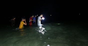 Ngư dân Quảng Nam được "lộc biển" do lượng lớn bạch tuộc dạt vào bờ