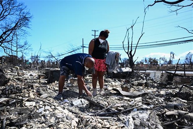 Thảm họa cháy rừng ở Hawaii: Con số thương vong sẽ còn tăng