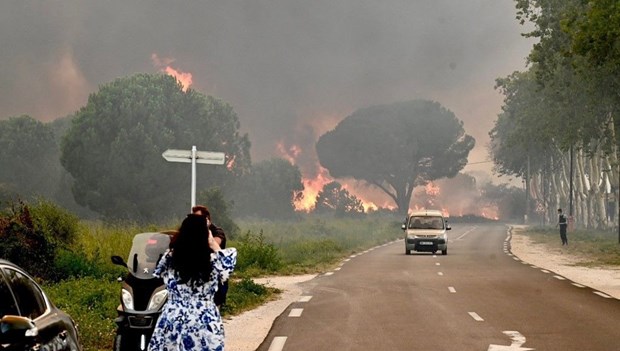 Hơn 3.000 người phải sơ tán khẩn cấp do cháy rừng tại Pháp