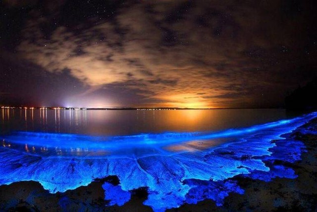 Bí ẩn về hiện tượng biển sao của Maldives!