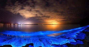 Bí ẩn về hiện tượng biển sao của Maldives! Bí ẩn về hiện tượng biển sao của Maldives!