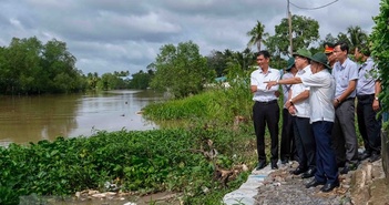 Cần Thơ: Theo dõi chặt chẽ diễn biến sạt lở bờ sông Trà Nóc Cần Thơ: Theo dõi chặt chẽ diễn biến sạt lở bờ sông Trà Nóc