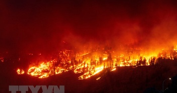 Canada: British Columbia tuyên bố tình trạng khẩn cấp vì cháy rừng