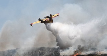 ​Phát hiện hàng chục thi thể trong các đám cháy rừng ở Hy Lạp