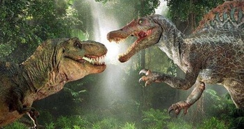 Sự thật đầy bất ngờ được phát hiện từ hóa thạch khủng long