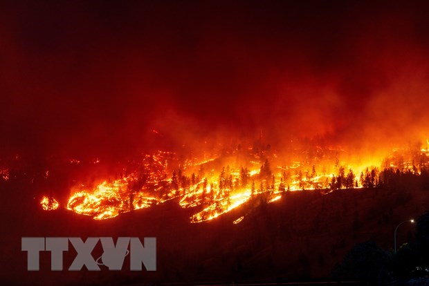 Diện tích đám cháy rừng tồi tệ nhất châu Âu lớn hơn cả  New York