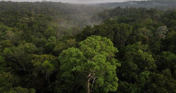 "Báo động đỏ" khí thải CO2 trên Trái đất, cao chưa từng có trong 800 năm "Báo động đỏ" khí thải CO2 trên Trái đất, cao chưa từng có trong 800 năm