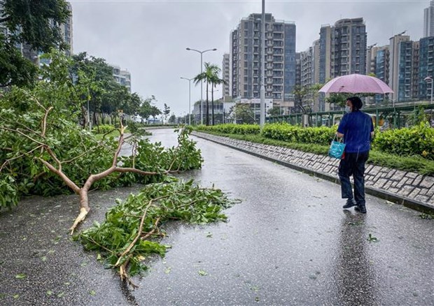 Trung Quốc hạ mức cảnh báo khẩn cấp sau khi bão Saola suy yếu