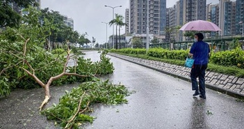 Trung Quốc hạ mức cảnh báo khẩn cấp sau khi bão Saola suy yếu