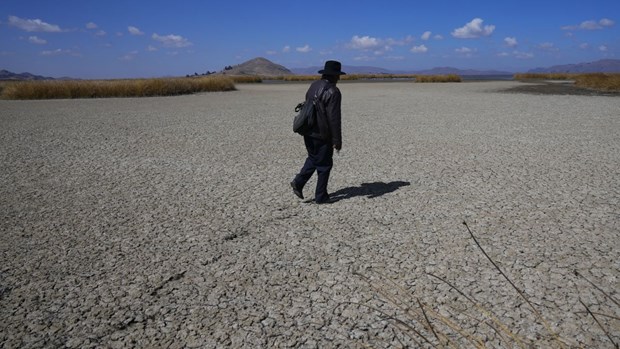 Nắng nóng khiến hồ nước cao nhất thế giới Titicaca dần khô cạn