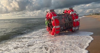 Người đàn ông ở Florida bị bắt sau khi cố gắng vượt biển trên chiếc bánh xe hamster tự chế Người đàn ông ở Florida bị bắt sau khi cố gắng vượt biển trên chiếc bánh xe hamster tự chế