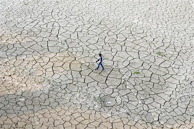 Hơn 95% nguy cơ hiện tượng El Nino tiếp diễn từ tháng 1-3/2024
