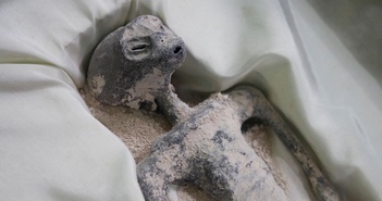 Thực hư về mẫu vật “người ngoài hành tinh” ở Mexico Thực hư về mẫu vật “người ngoài hành tinh” ở Mexico