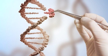 Nhà khoa học ngồi tù vì chỉnh sửa gen để biến đổi loài người